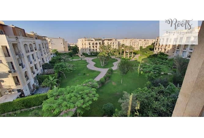 13 4396675-25c93o. jpg