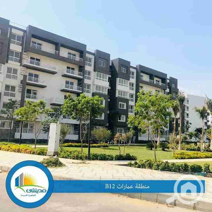 1000067229. jpg 1000067229. jpg