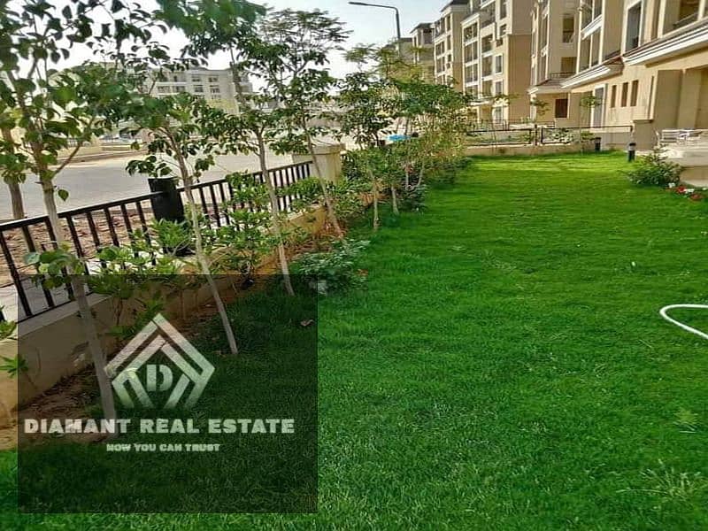 12 376660726_2016835518670795_7623600283494807416_n. jpg