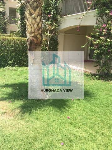 2 299993872_5478476275523845_1185549490107852012_n. jpg