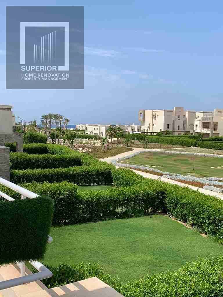 1000412055. jpg 1000412055. jpg