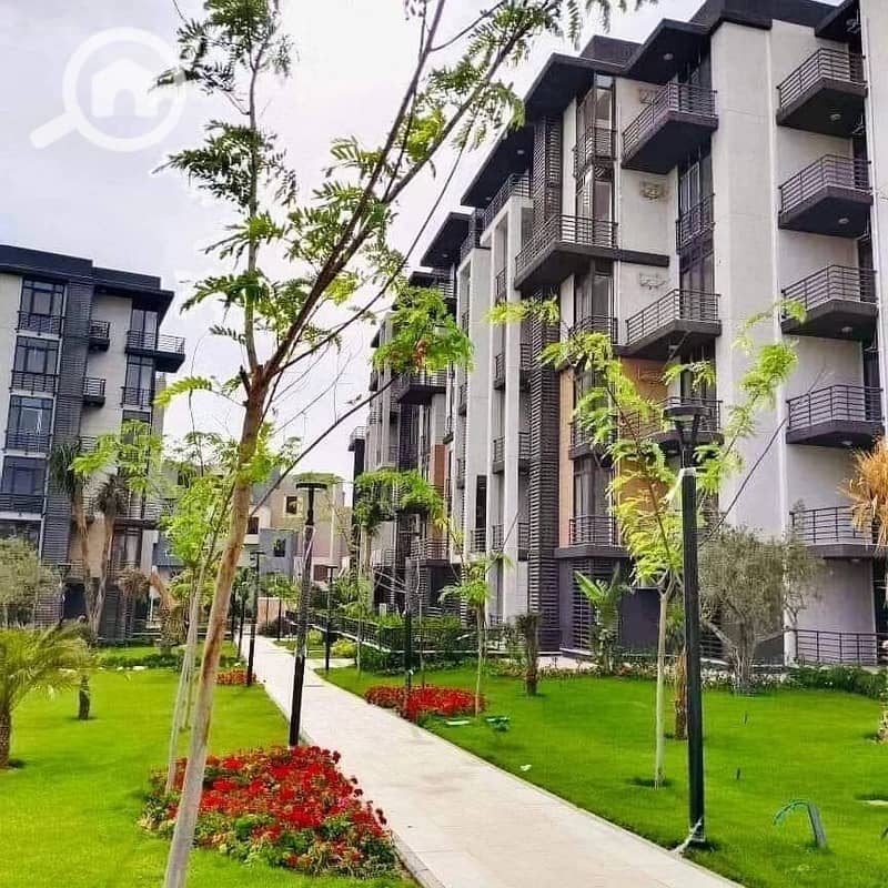 2 428374404_6924270454361401_1423865863433062103_n (1). jpg