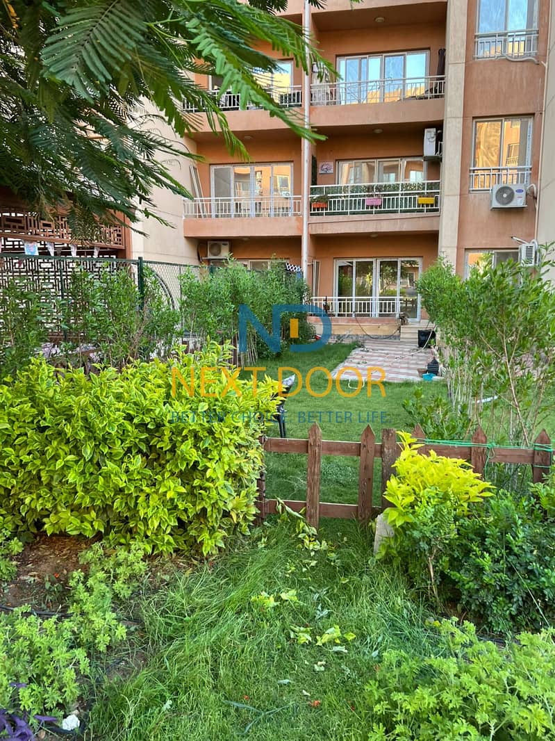 2 b01ab504-5583-4268-83f7-b2aac9c42aca. jpg