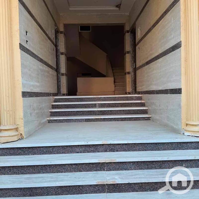 4 da881736-5486-4d70-b641-980987329a31. jpg