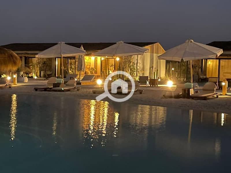 10 photo_2025-02-19_20-50-52. jpg