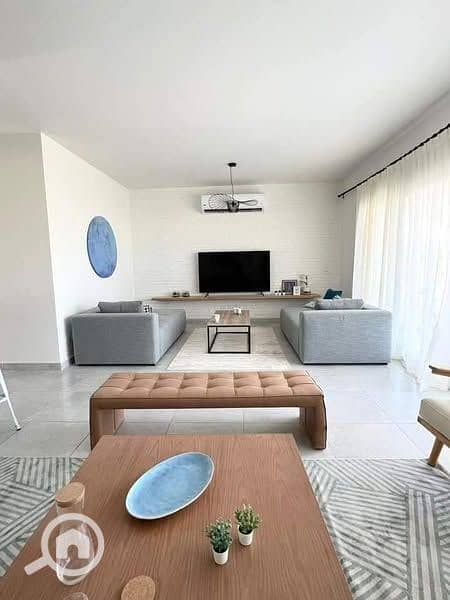 4 440355799_961414858756738_2859152396469888247_n. jpg