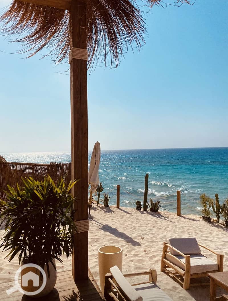 9 502565363_4818387535053297_4055983878224581147_n. jpg