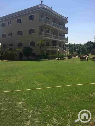 فیلا 11 غرف نوم للبيع في المنصورية، الجيزة - 1000330711. jpg