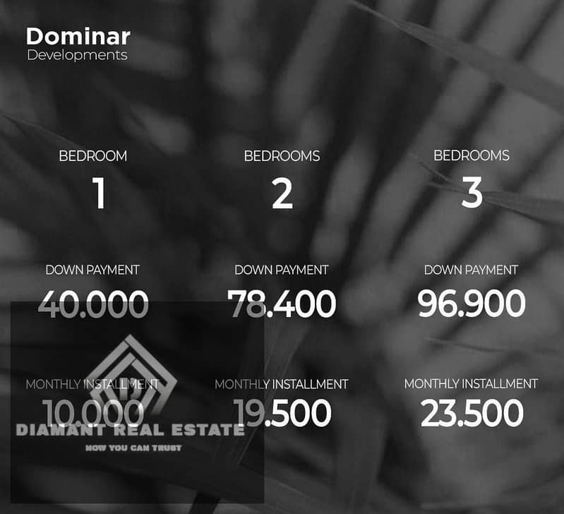 3 WhatsApp Image 2025-10-29 at 1.31. 44 AM. jpeg