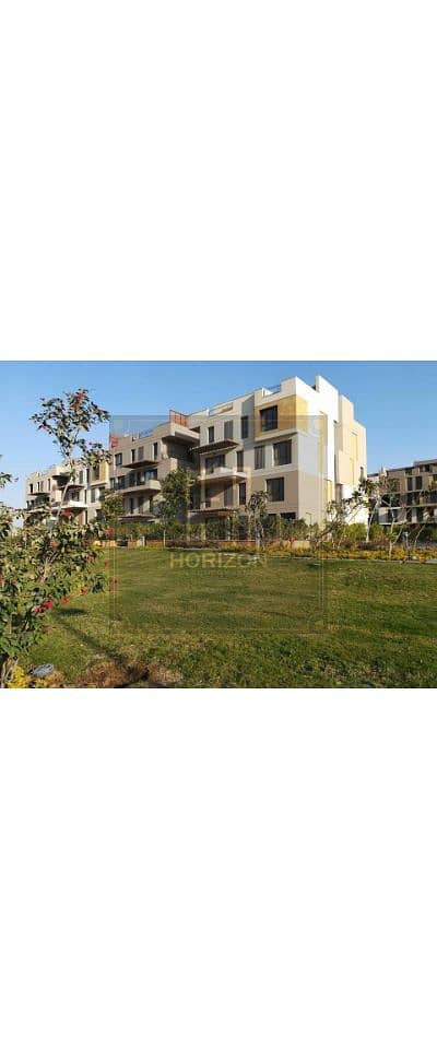 7 29101597_2026281264361604_2099010037211987968_n-Copy-Copy. jpg