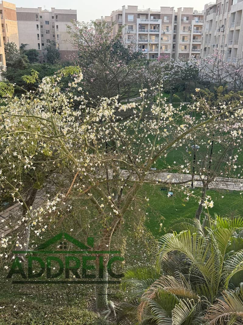 19 WhatsApp Image 2025-12-04 at 3.25. 30 PM (4). jpeg