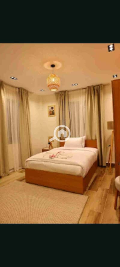 1 Bedroom Hotel Apartment for Rent in Zamalek, Cairo - 1000123114. jpg