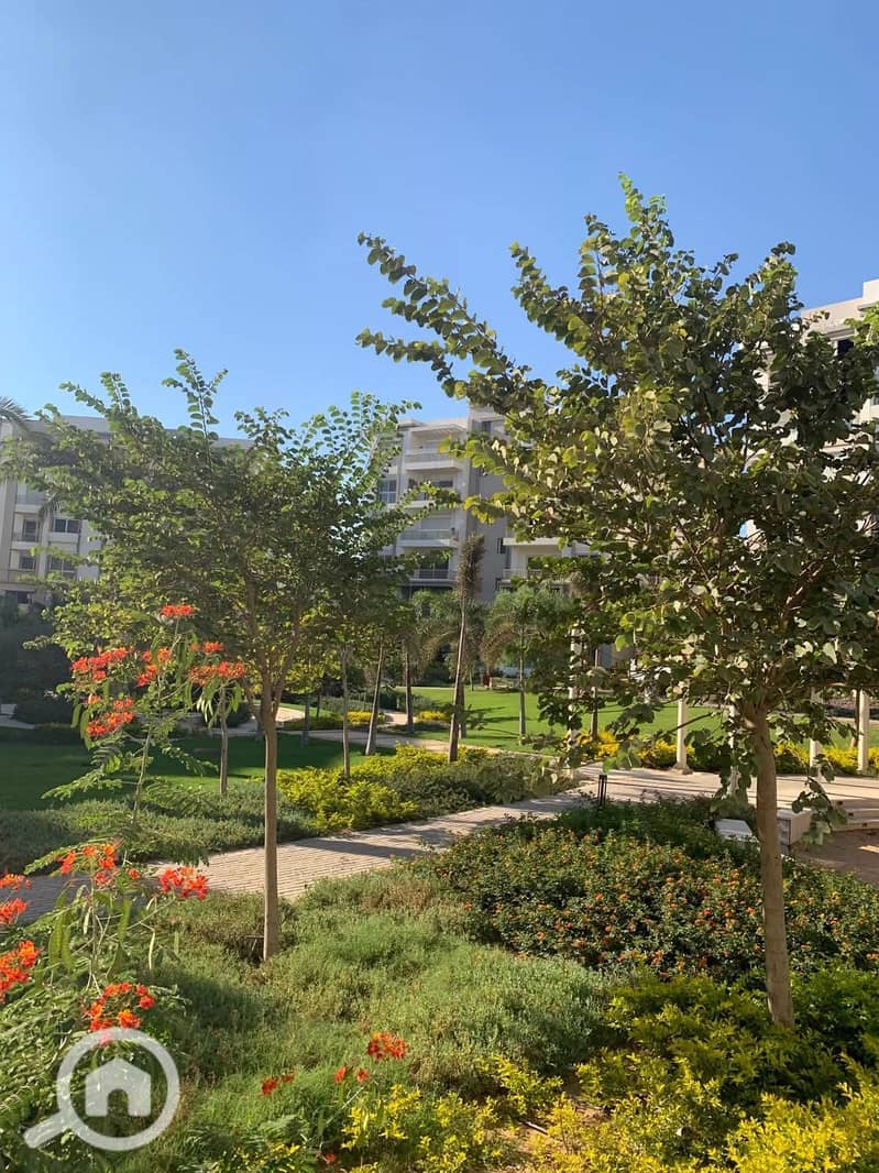 8 FB_IMG_1764969396916. jpg