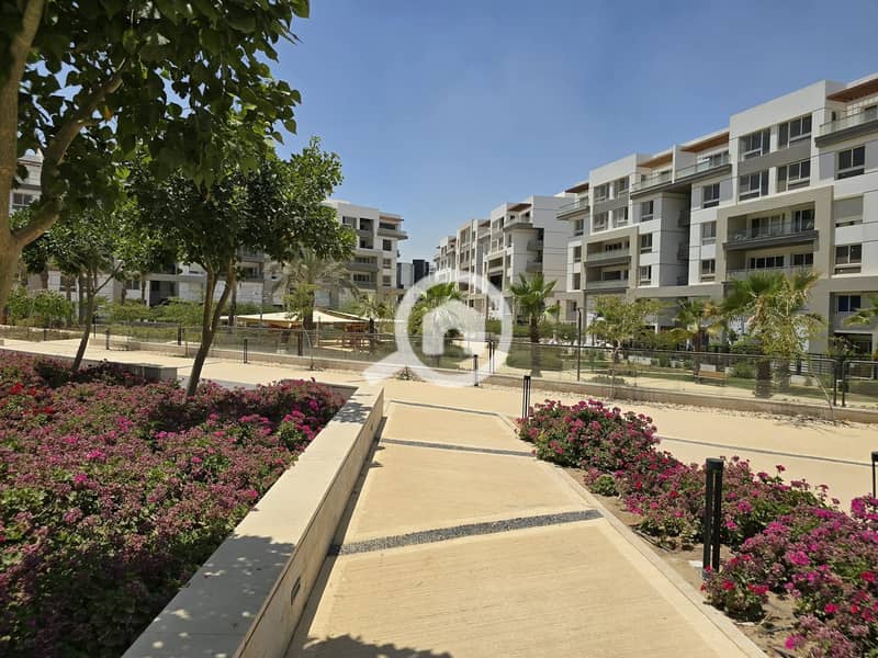 5 FB_IMG_1764969347453. jpg