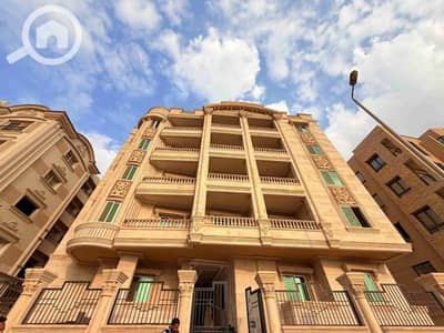 11 Bedroom Other Residential for Rent in New Cairo, Cairo - 439981. jpg 11 Bedroom Other Residential for Rent in New Cairo, Cairo - 439981. jpg