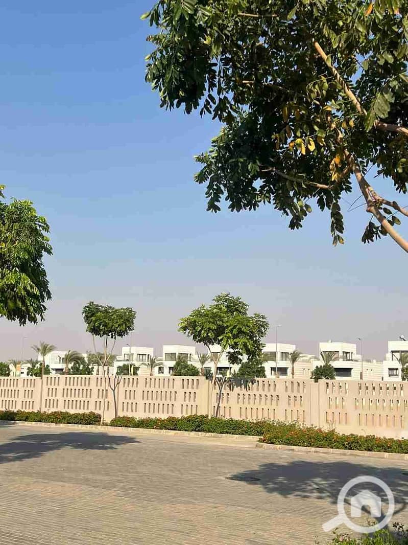 8 IMG_20251010_184525_235. jpg