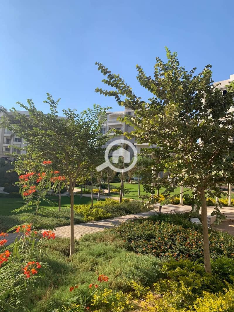 3 FB_IMG_1764969396916. jpg