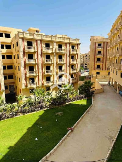 شقة 3 غرف نوم للبيع في القاهرة الجديدة، القاهرة - 1000475801. jpg شقة 3 غرف نوم للبيع في القاهرة الجديدة، القاهرة - 1000475801. jpg