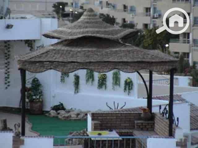 10 925ba50a-2eb0-41c9-9143-519ff6aad61b. jpg