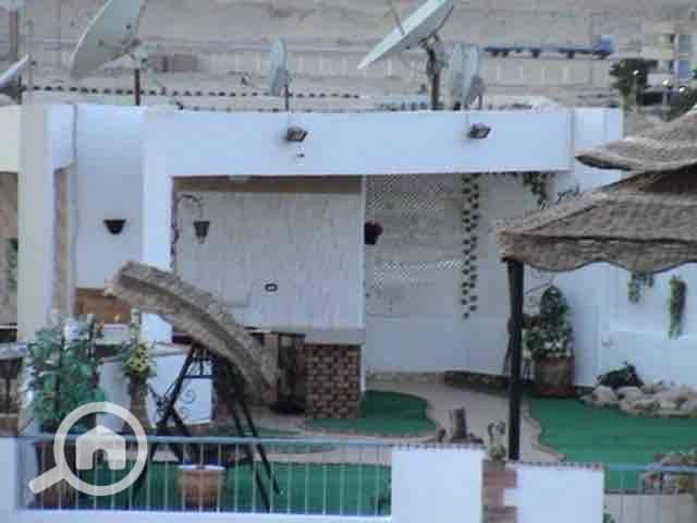 12 0d6c07ae-f7f7-4463-9055-f3763303a009. jpg