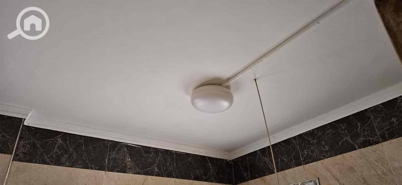 16 43bb5622-e92a-4e8f-a46d-aeb298f9db70. jpg