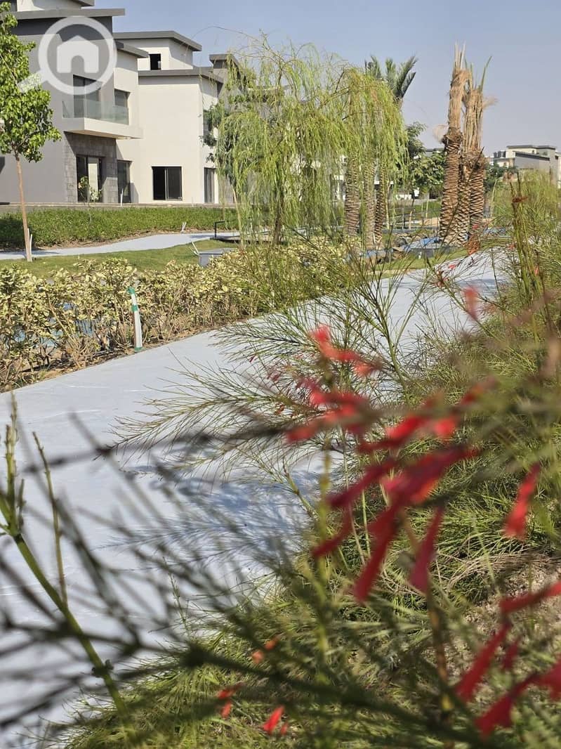 7 photo_2025-11-07_00-59-12. jpg