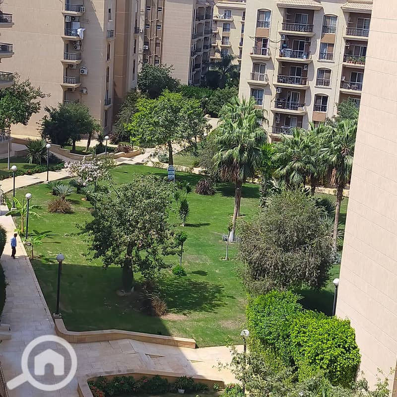 IMG20250924131532. jpg IMG20250924131532. jpg