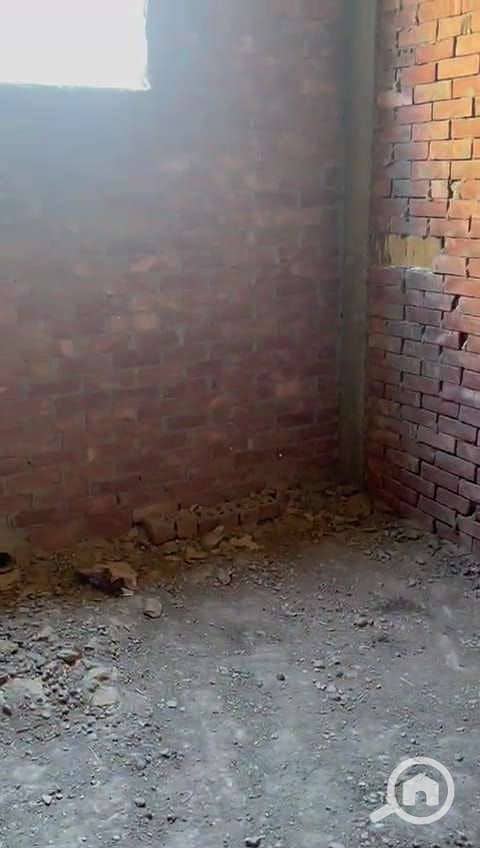 5 WhatsApp Image 2025-12-06 at 11.01. 03 AM. jpeg