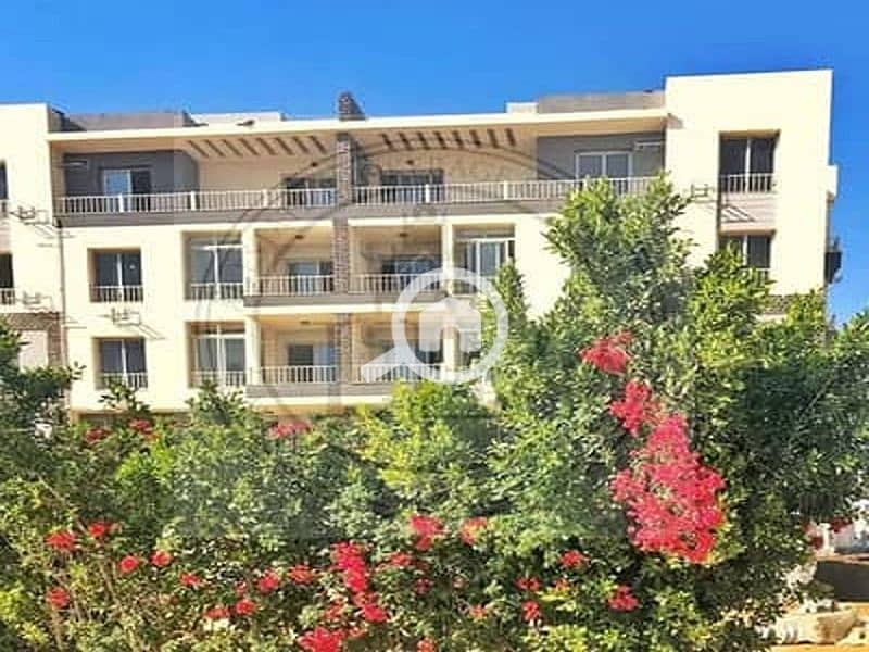 20303351-400x300. jpg 20303351-400x300. jpg