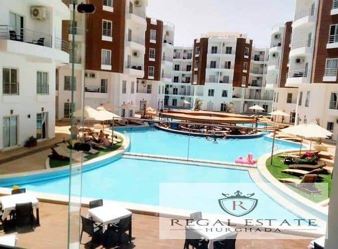 4 IMG-20241225-WA0001_22db2_lg. jpg