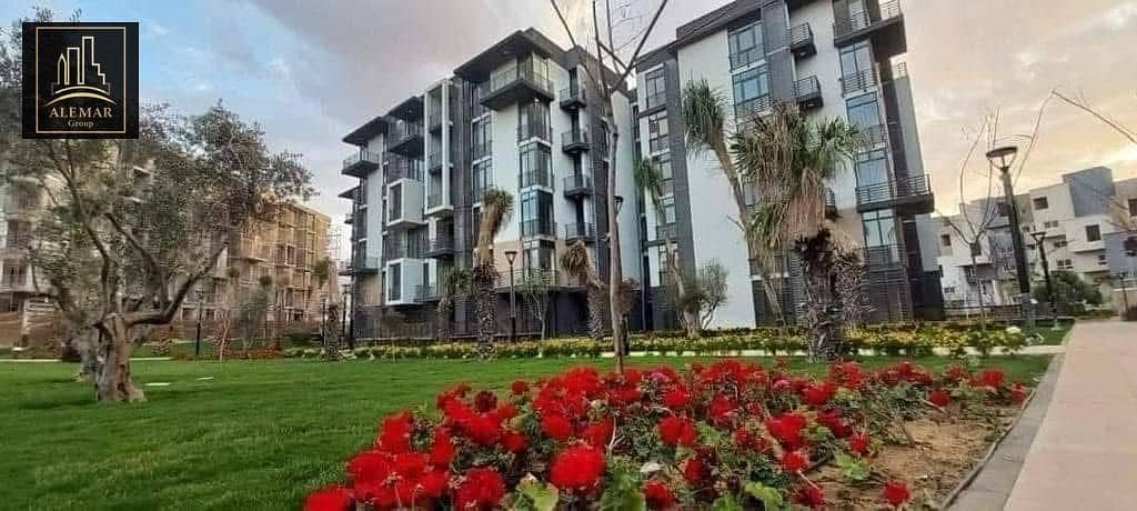 3 6d1764fd-aecb-4106-b9f3-b0da4edb0b9d. jpg