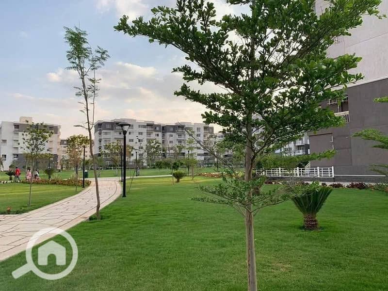 9 9a638c5e-1f74-466c-ad65-44e387b30264. jpg