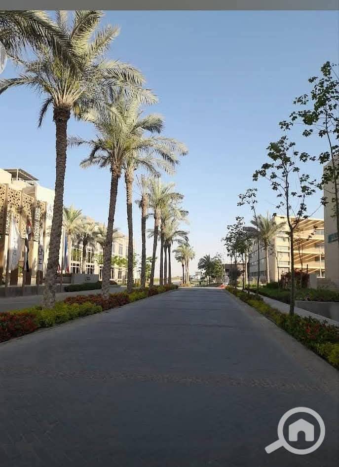 8 FB_IMG_1740050380898. jpg