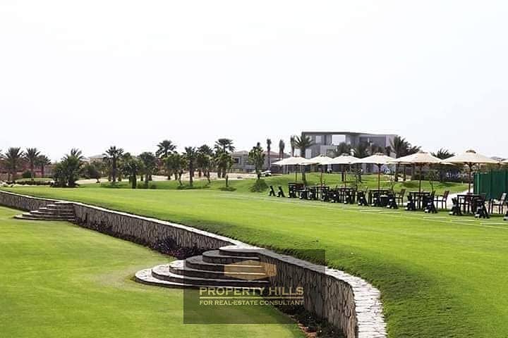 4 274010643_2470114483121799_7184202100191101414_n. jpg