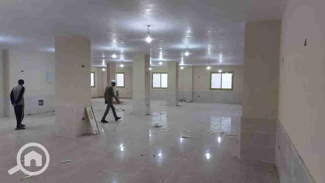 1000030337. jpg 1000030337. jpg