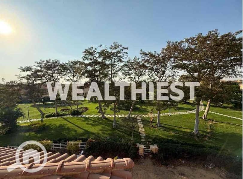 8 0585fcc2-fbf6-42b7-a210-1939ffc241fe. jpg