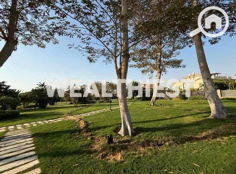 11 a55726b7-4346-47dc-8aa8-ca874d47caed. jpg