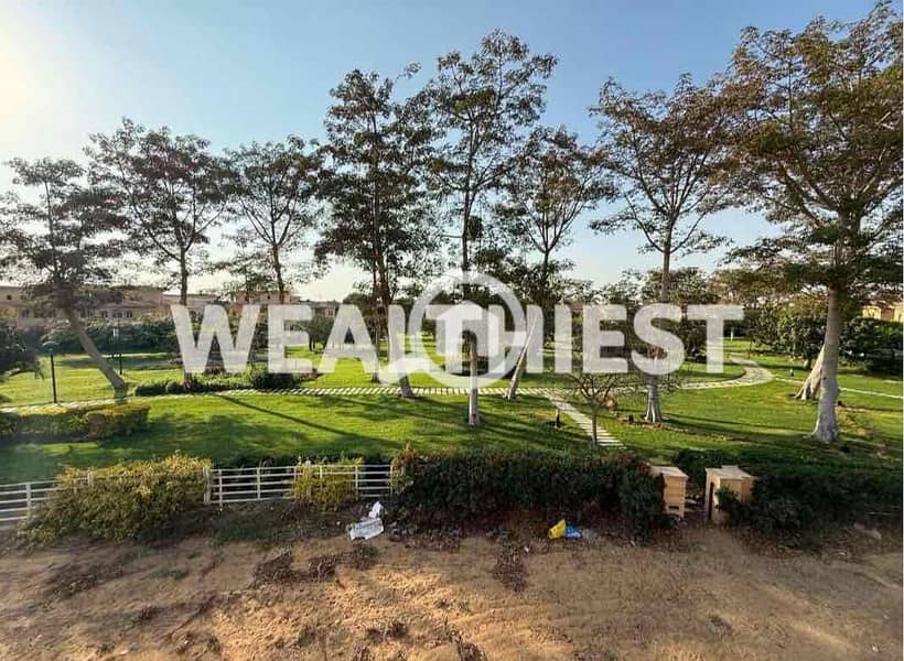 15 66385e72-083f-4e46-acc1-55fb165beae5. jpg