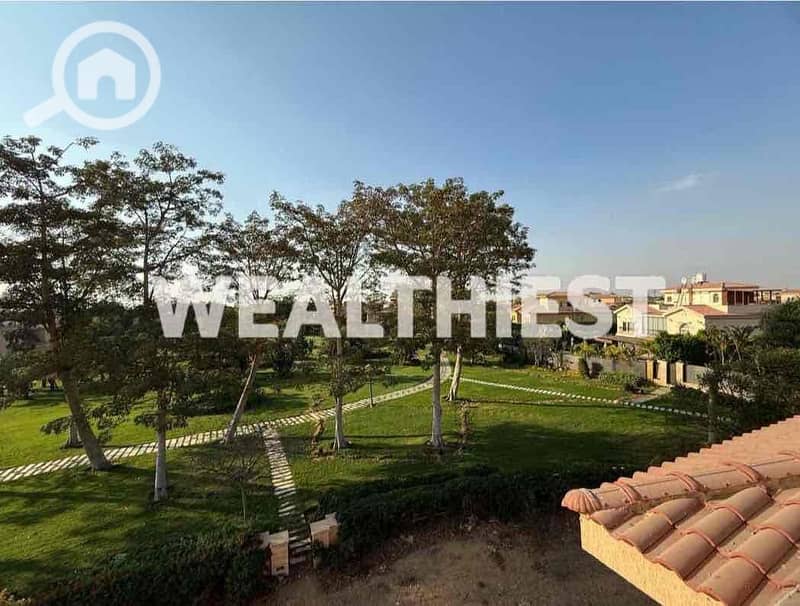 17 dbc6cee0-5ffc-46c7-b9c2-56d7577d79ff. jpg