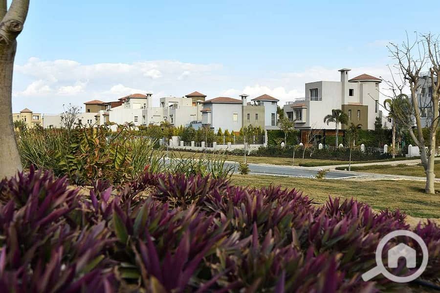 9 FB_IMG_1751471929145. jpg