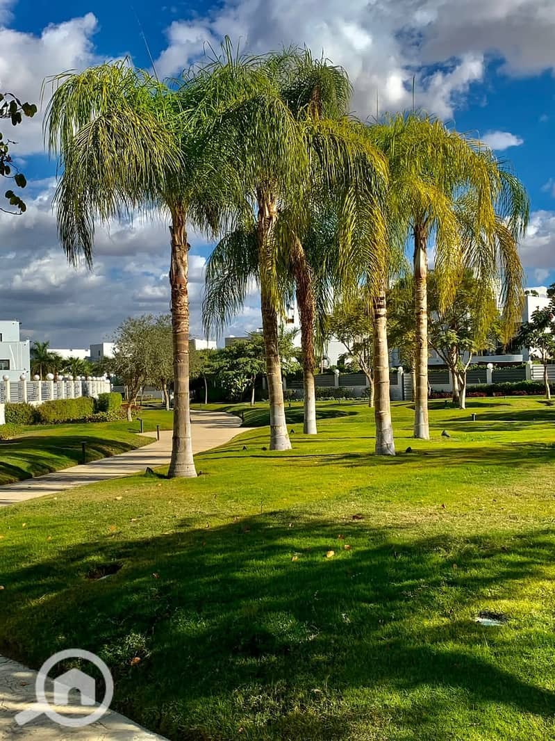 7 FB_IMG_1751897931758. jpg