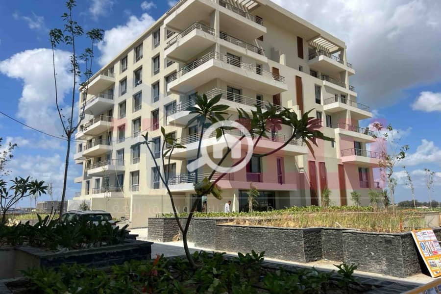 11 WhatsApp Image 2025-08-24 at 13.39. 11_616dfc4c. jpg