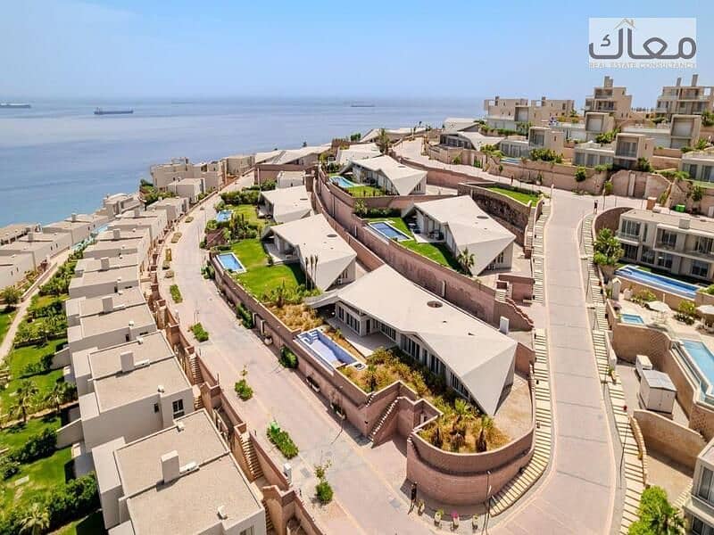 2 e9a46743-5112-4969-98df-054f9b18ff87. jpg