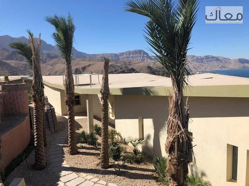 5 154d855e-7ab4-4d3c-966f-5fcef242e801. jpg