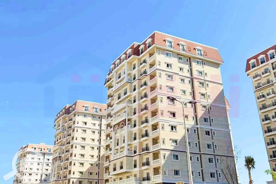 10 WhatsApp Image 2025-11-18 at 15.48. 44 (3). jpg