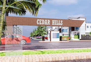 6 64d392ddc333c739569010. jpg