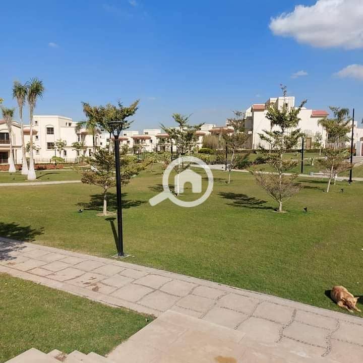 4 09bf748a-e170-45bc-af43-00428b36fef7. jpg