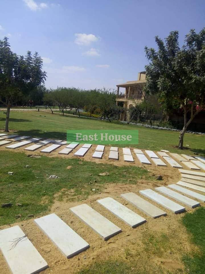 10 d1f73934-e461-423c-8122-502b1e149fd8. jpg