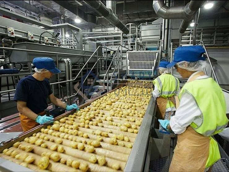 WhatsApp Image 2025-12-06 at 12.53. 15_aec84d54. jpg WhatsApp Image 2025-12-06 at 12.53. 15_aec84d54. jpg