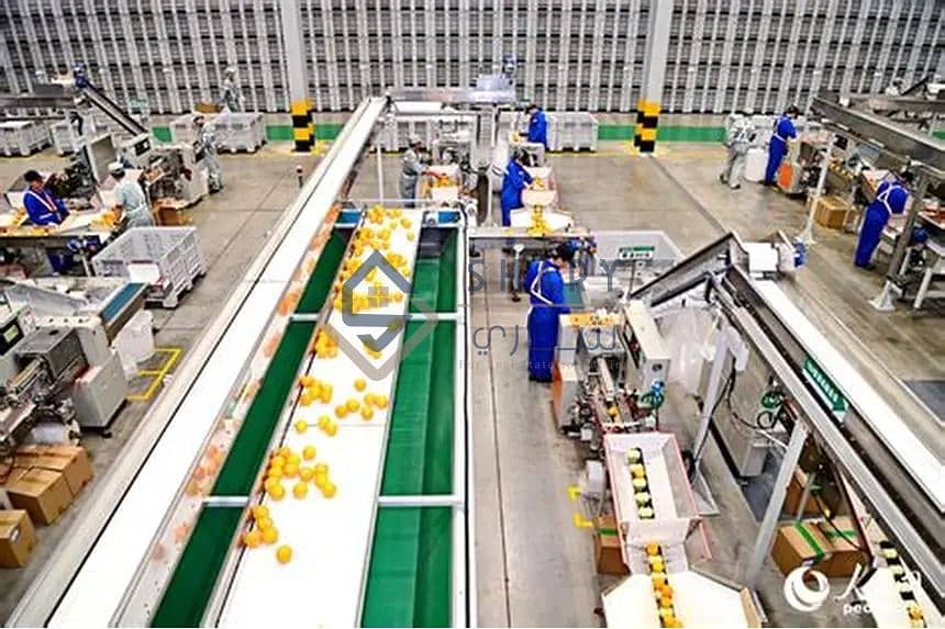 2 WhatsApp Image 2025-12-06 at 12.53. 36_4613ddf9. jpg